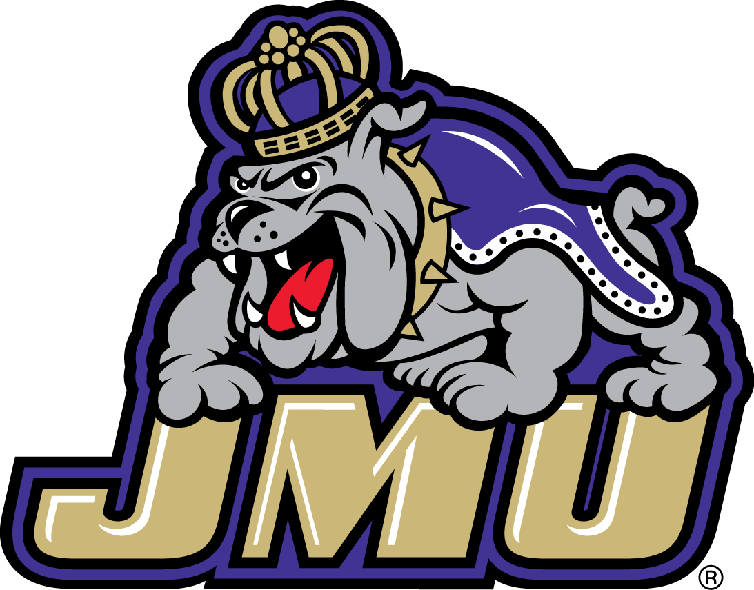 James Madison Dukes 2013-2016 Primary Logo diy DTF decal sticker